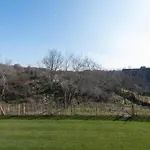 In Near The