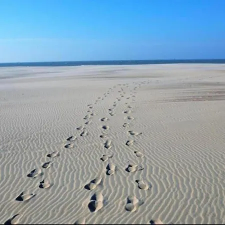 In Near The アパート