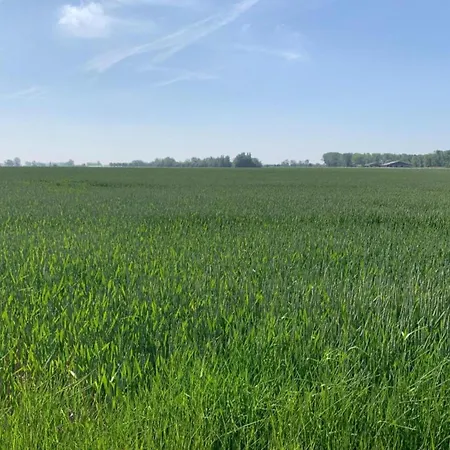 In Near The アパート